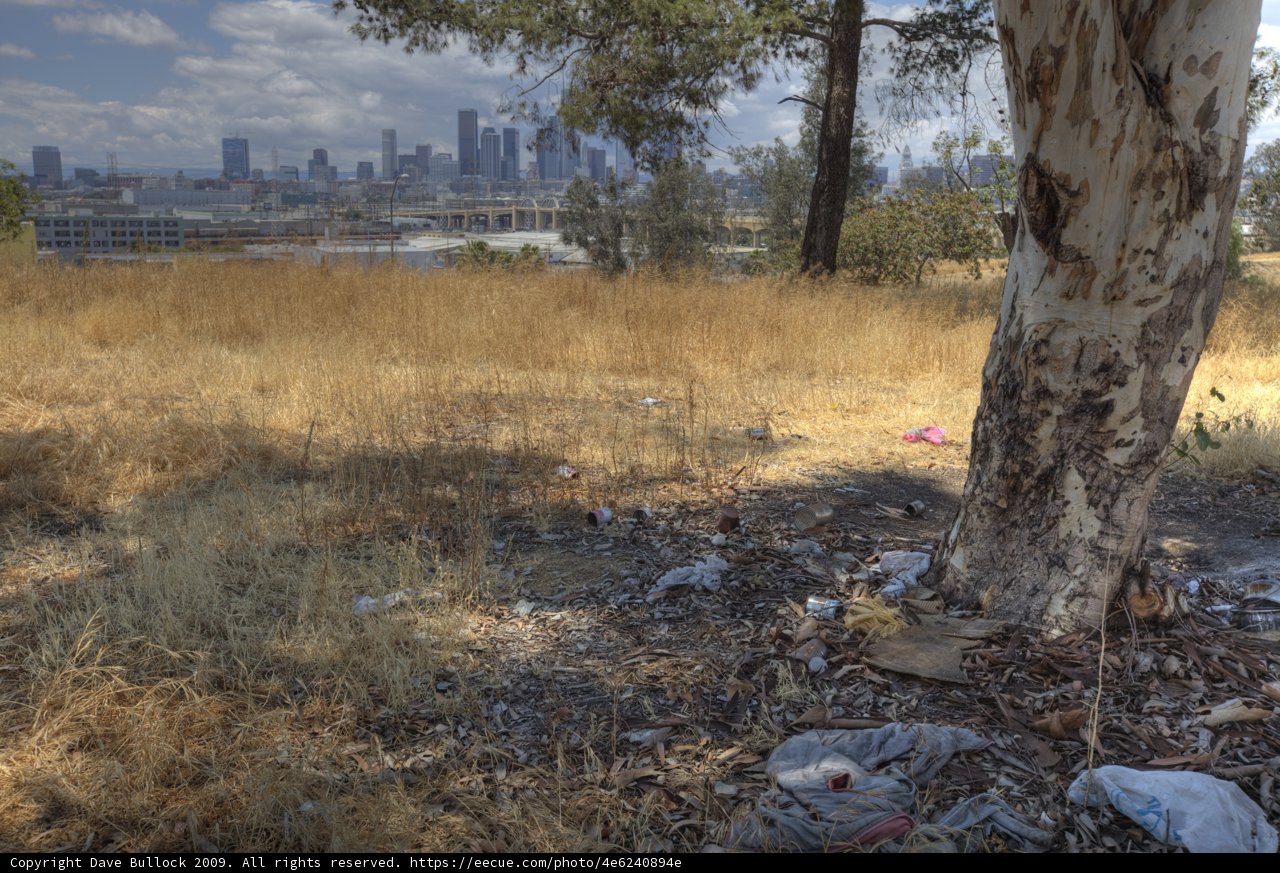 Urban Pollution