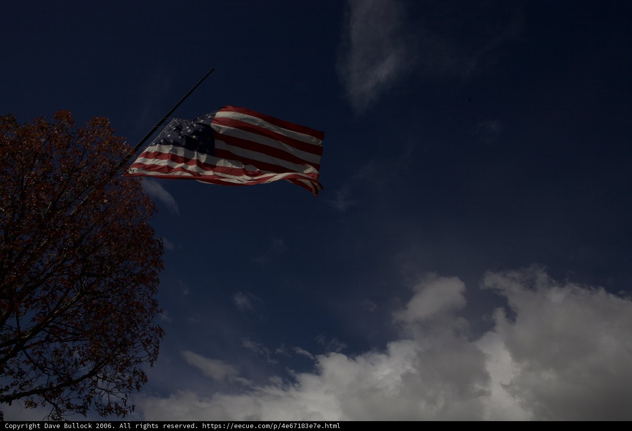 Proudly waving on a cloudy day