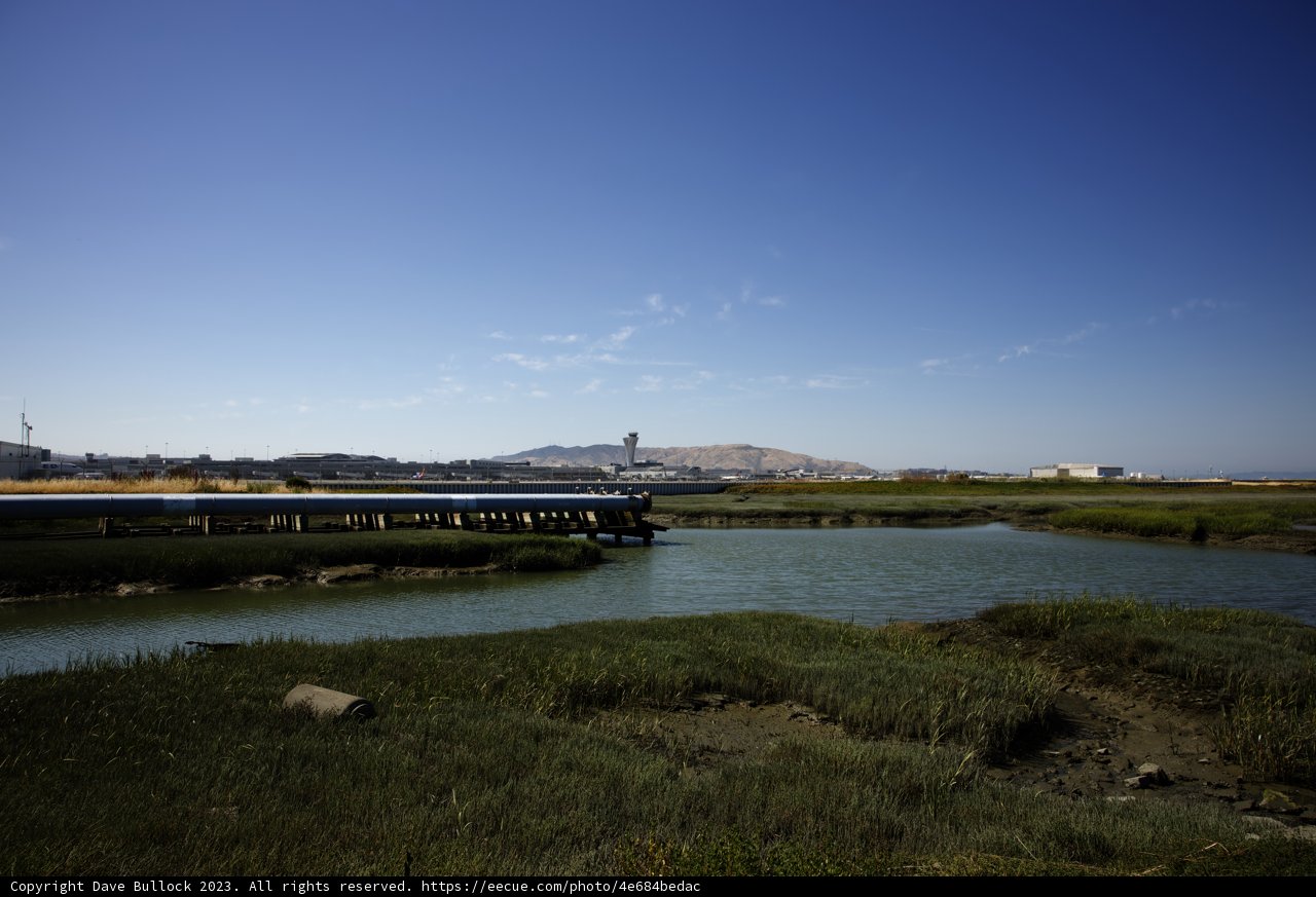 Serenity at the Bayfront Park: Bridge over Marsh