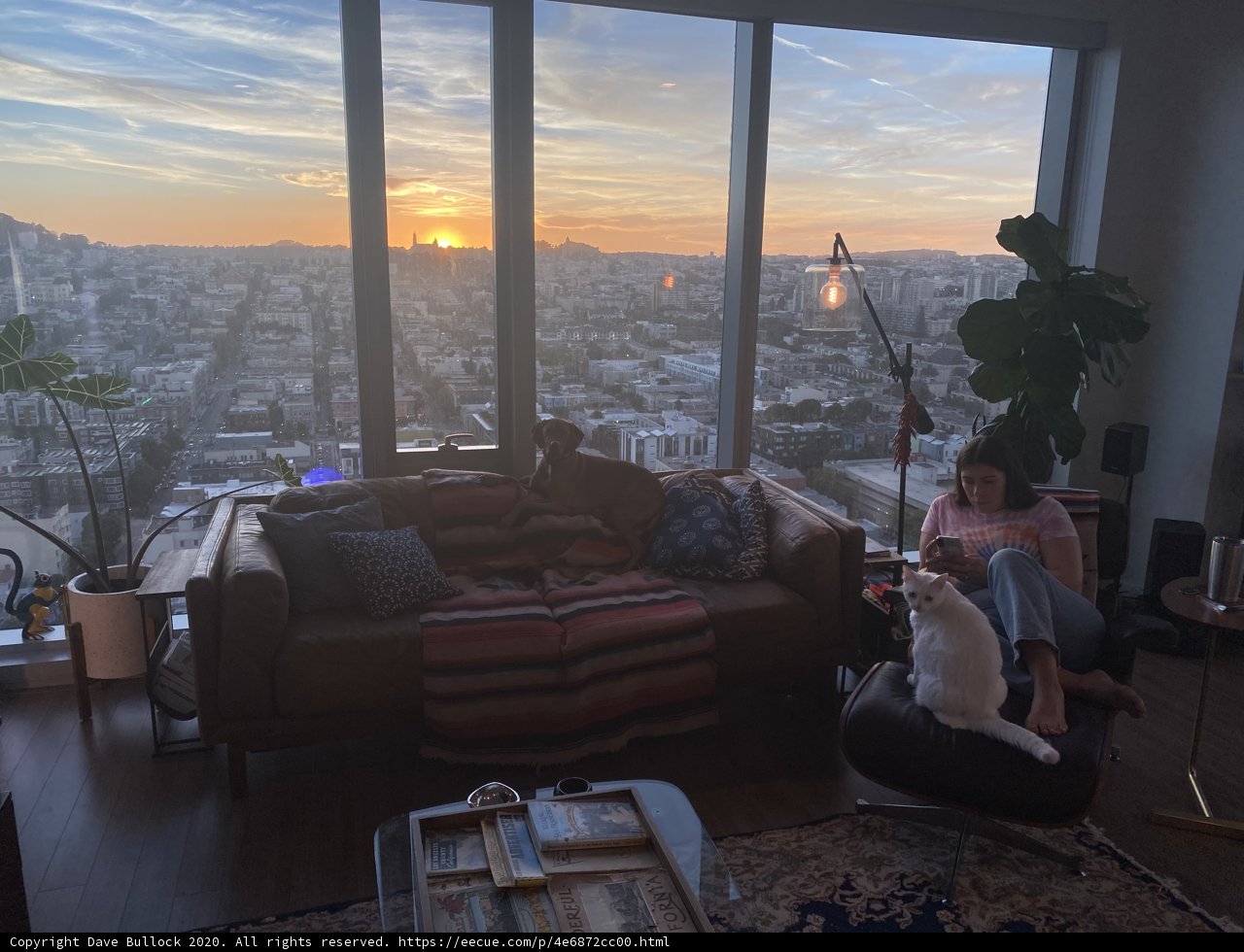 Cozy Evening with my Furry Friend