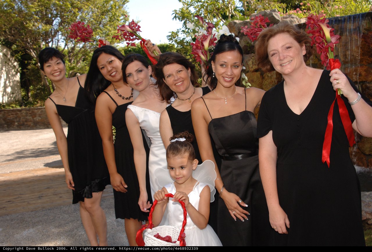 Bridal Party Poses Outdoors at Summer Wedding