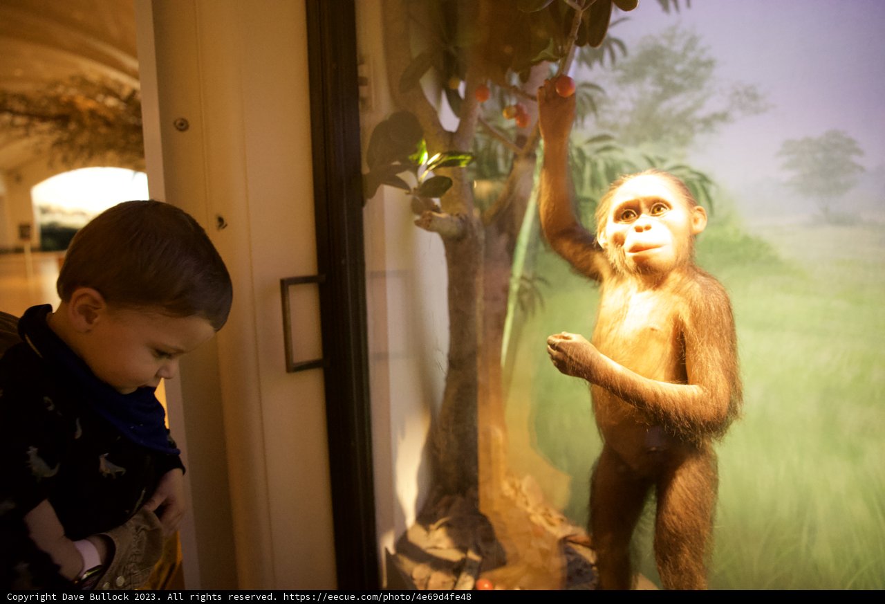 Fascination in the Face of Nature