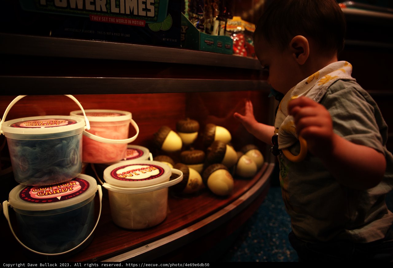 Magical Moments at Disneyland