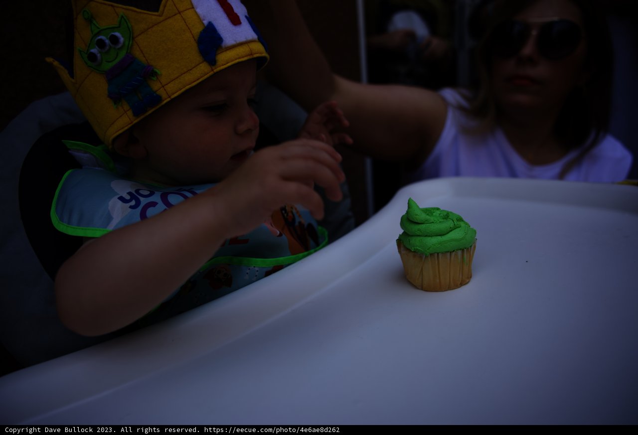 King Wesley's First Birthday Bash