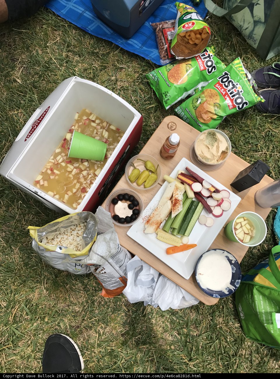 A Fun Picnic Day Out