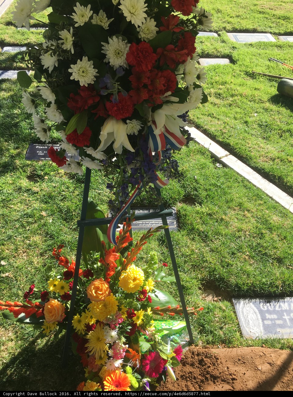 Memorial Tribute