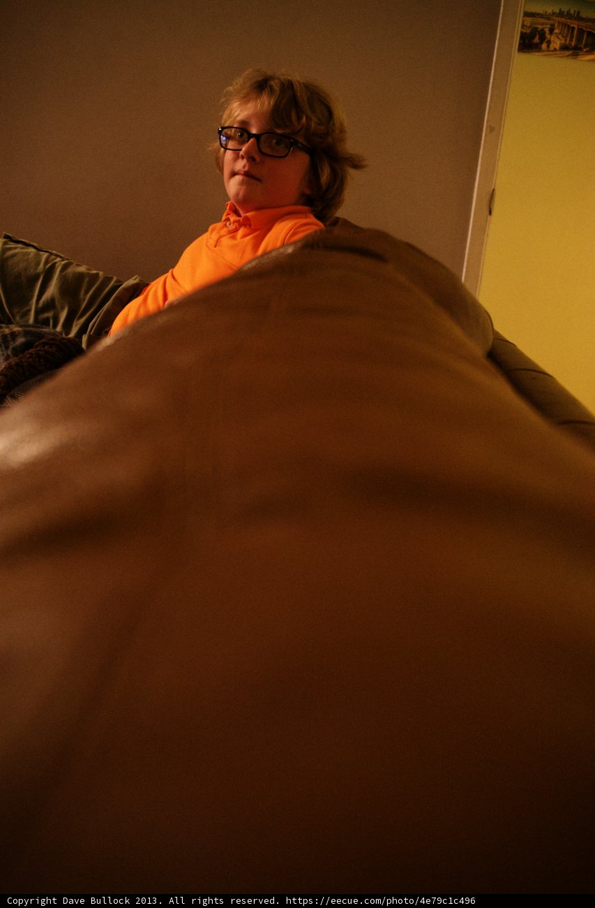 Cozy Nap on the Couch
