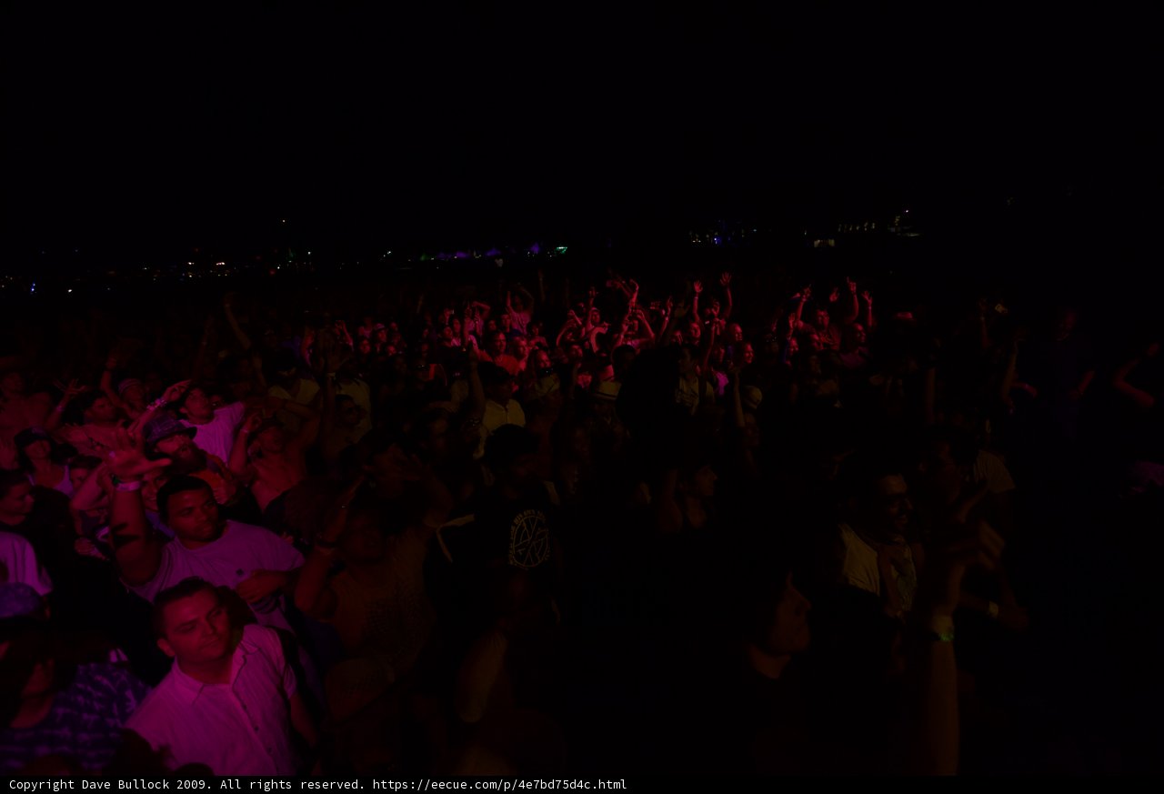 Electric Vibes: Coachella 2009 Crowd Goes Wild