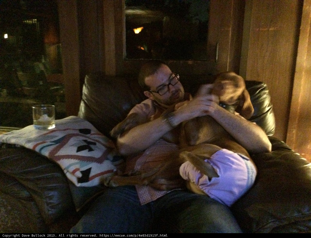 Man and Dog Relaxed on Cozy Couch