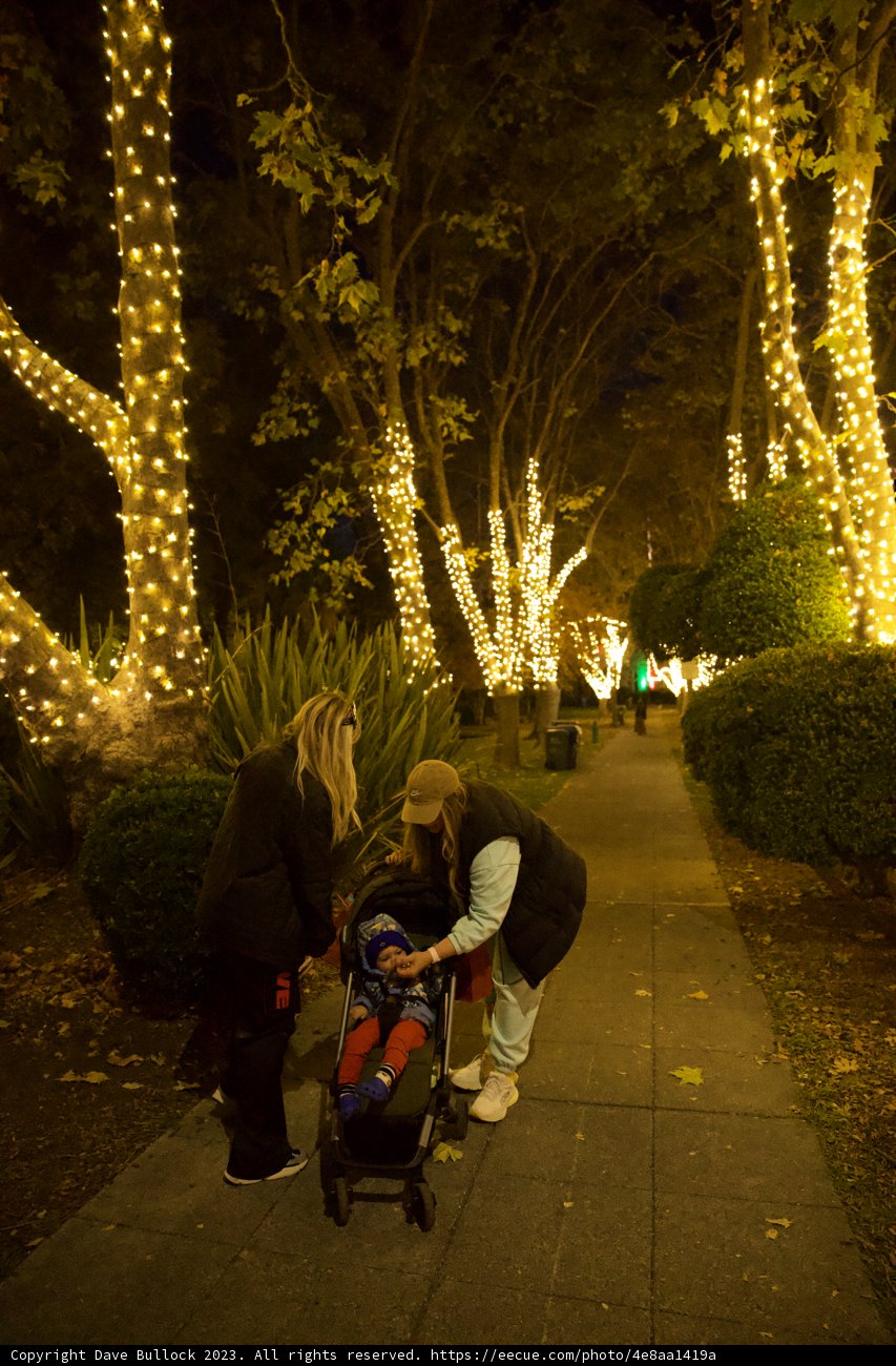 Evening Stroll in Downtown Sonoma