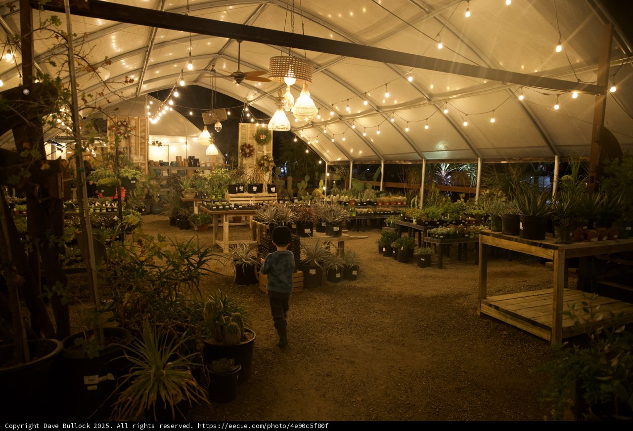Enchanting Nights in the Garden of D'Lights