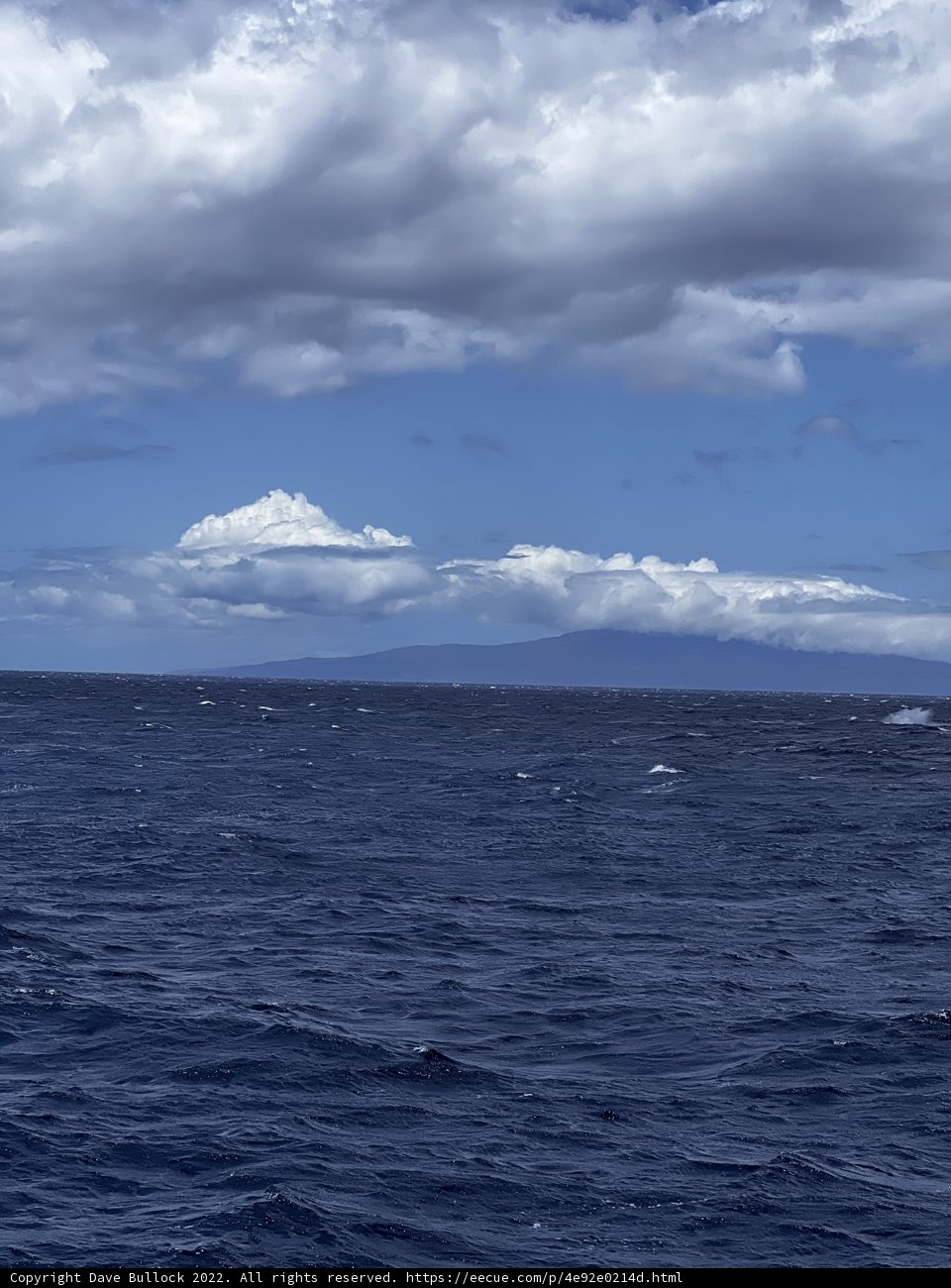 Serene Seascape