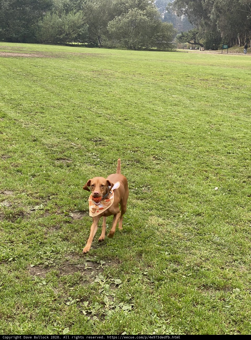 Running free