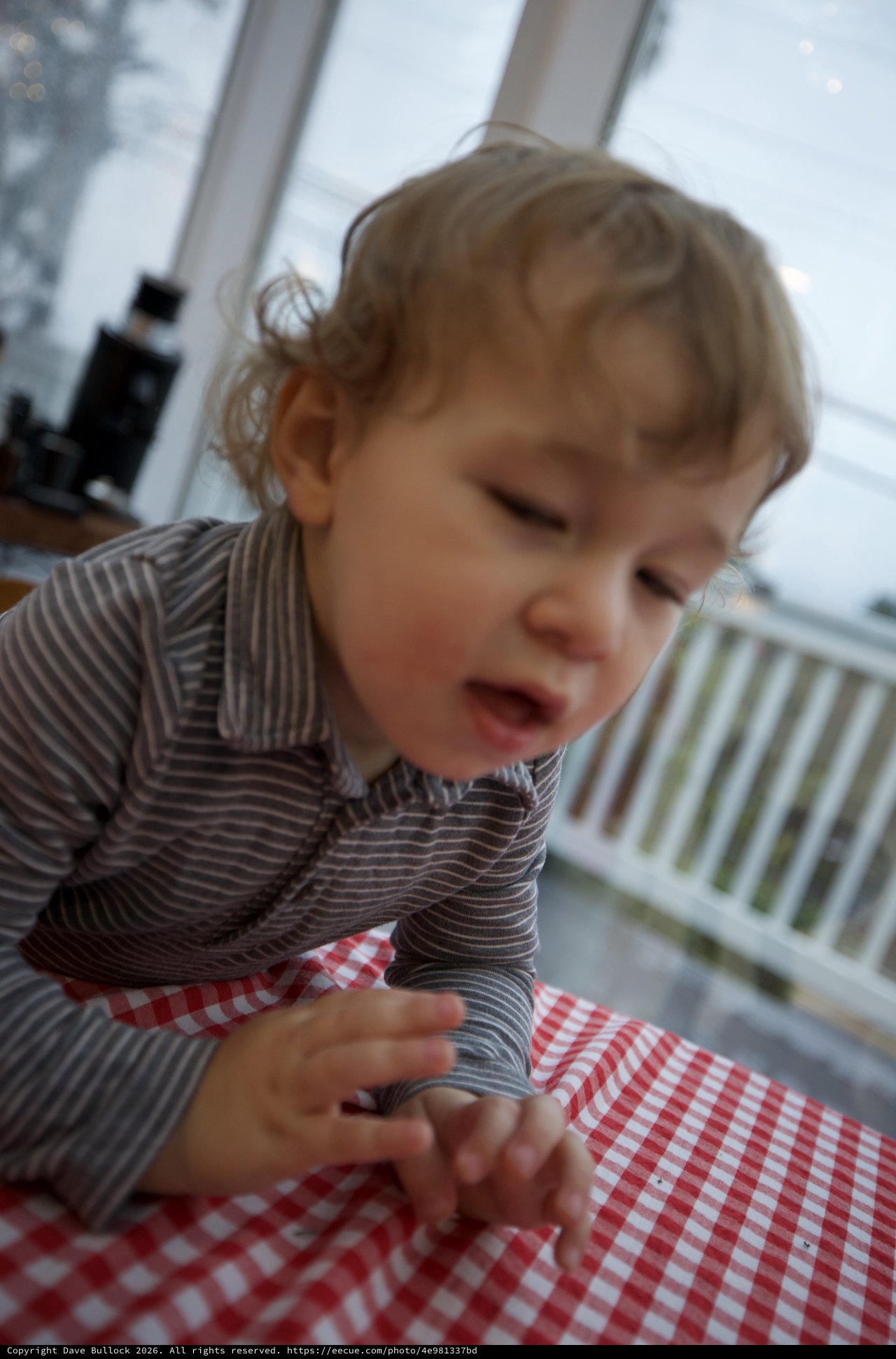 Toddler Engaged in Focused Hand Activity at Table
