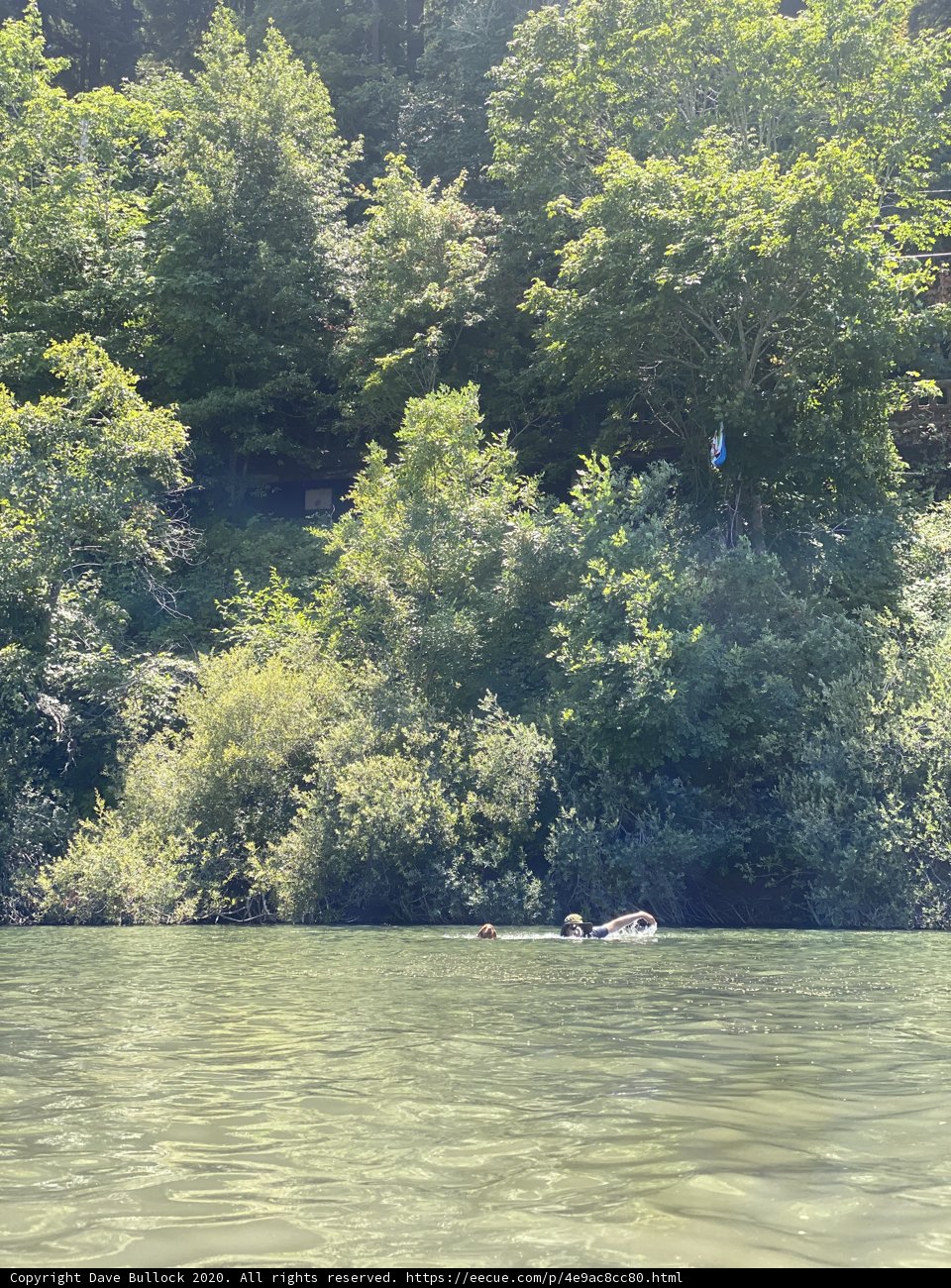 Floating Down the Russian River Caption: A group of people enjoy a leisurely ride down the Russian River on a sunny day, surrounded by lush vegetation, towering trees, and the peaceful sounds of nature.