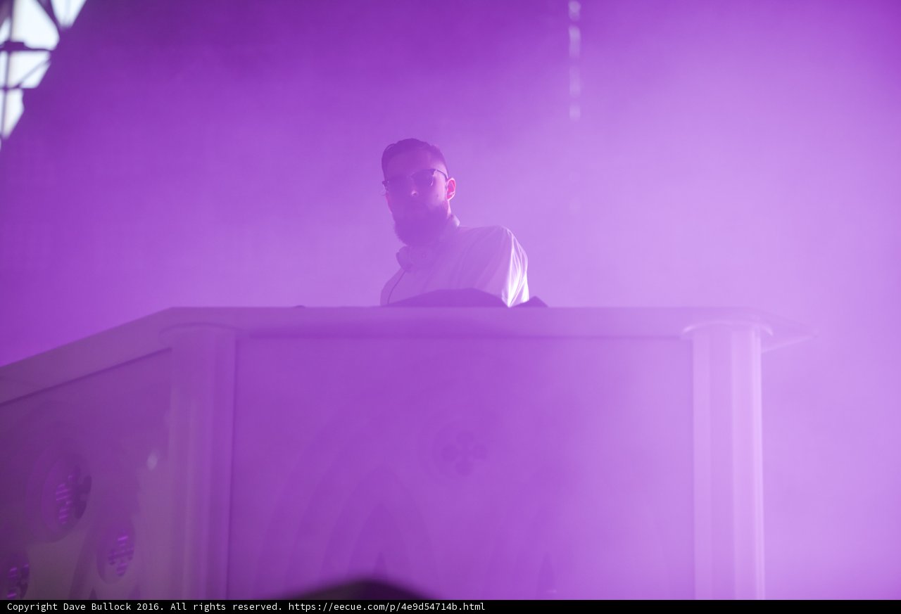 White Shirt, Purple Spotlight