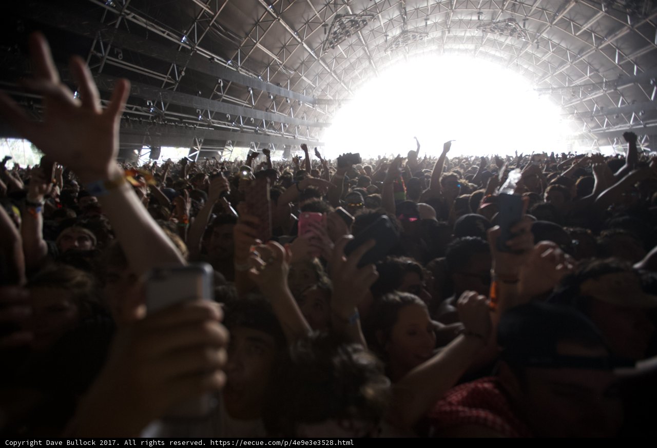 Crowd Goes Wild Caption: Actor Wes Bentley joins the energetic crowd at Coachella 2017, with hands in the air and phones flashing for a memorable concert experience.