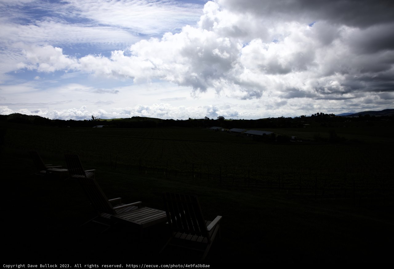Serene Vineyard Escape