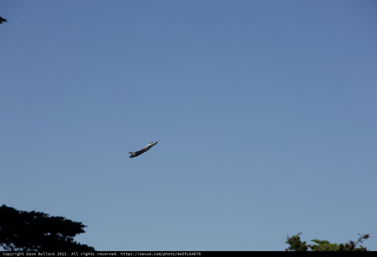 Soaring Through the San Francisco Skies