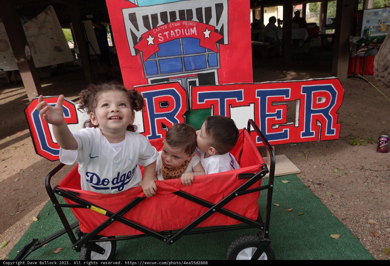 Wagon Adventures: The Carter Chronicles