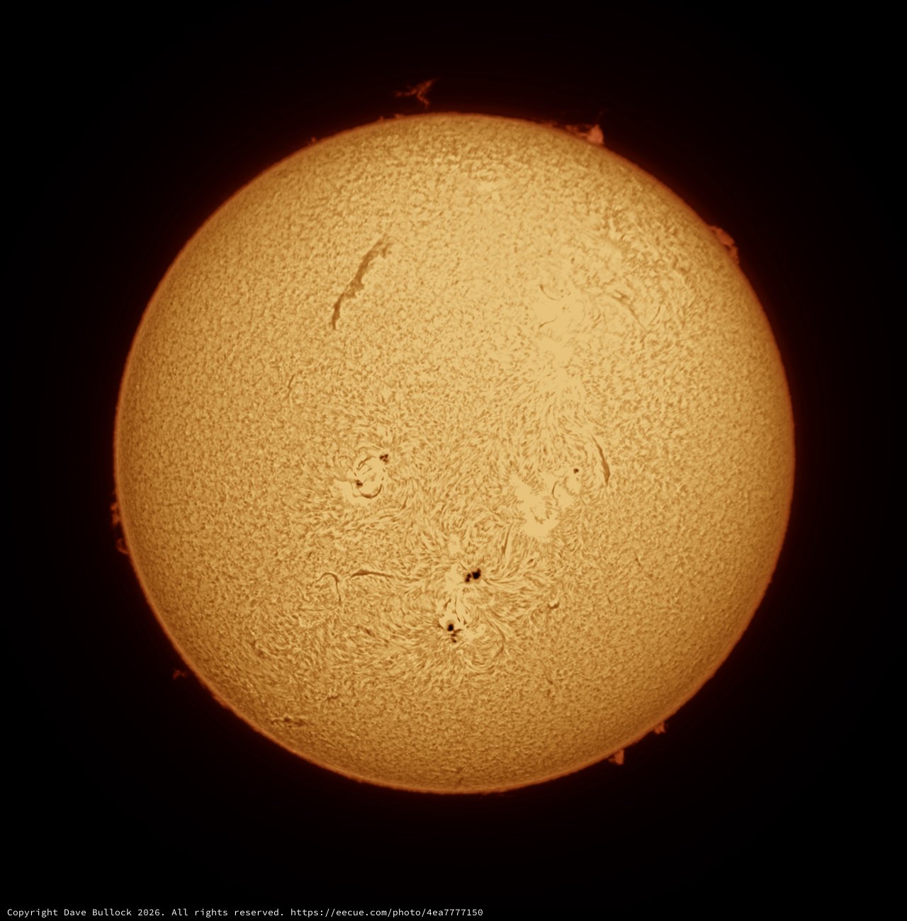 The Sun in Hydrogen-Alpha, Full Solar Disk