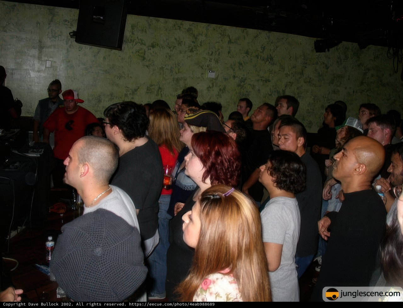 Nightclub Performance
