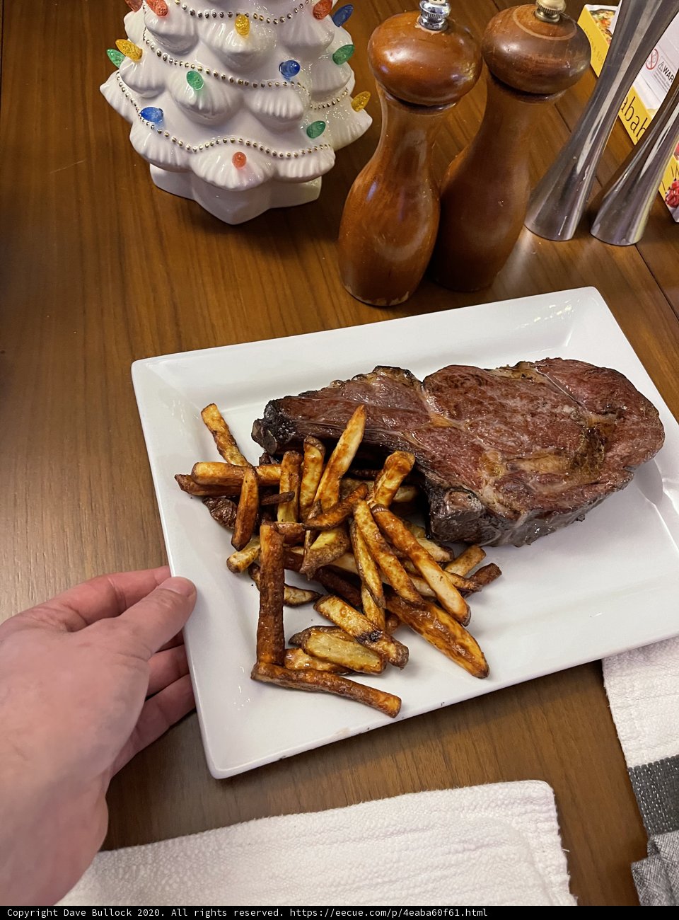 Savory Meat and Fries Feast