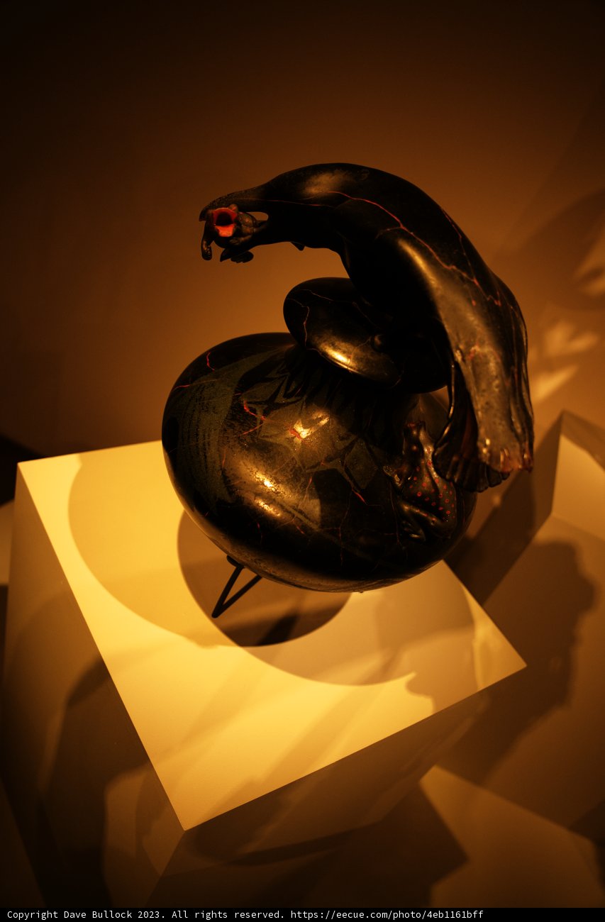 Transcendent Avian Artistry