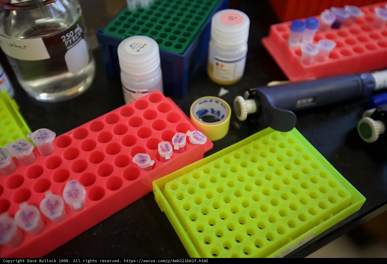 Laboratory Table with Assorted Test Tubes
