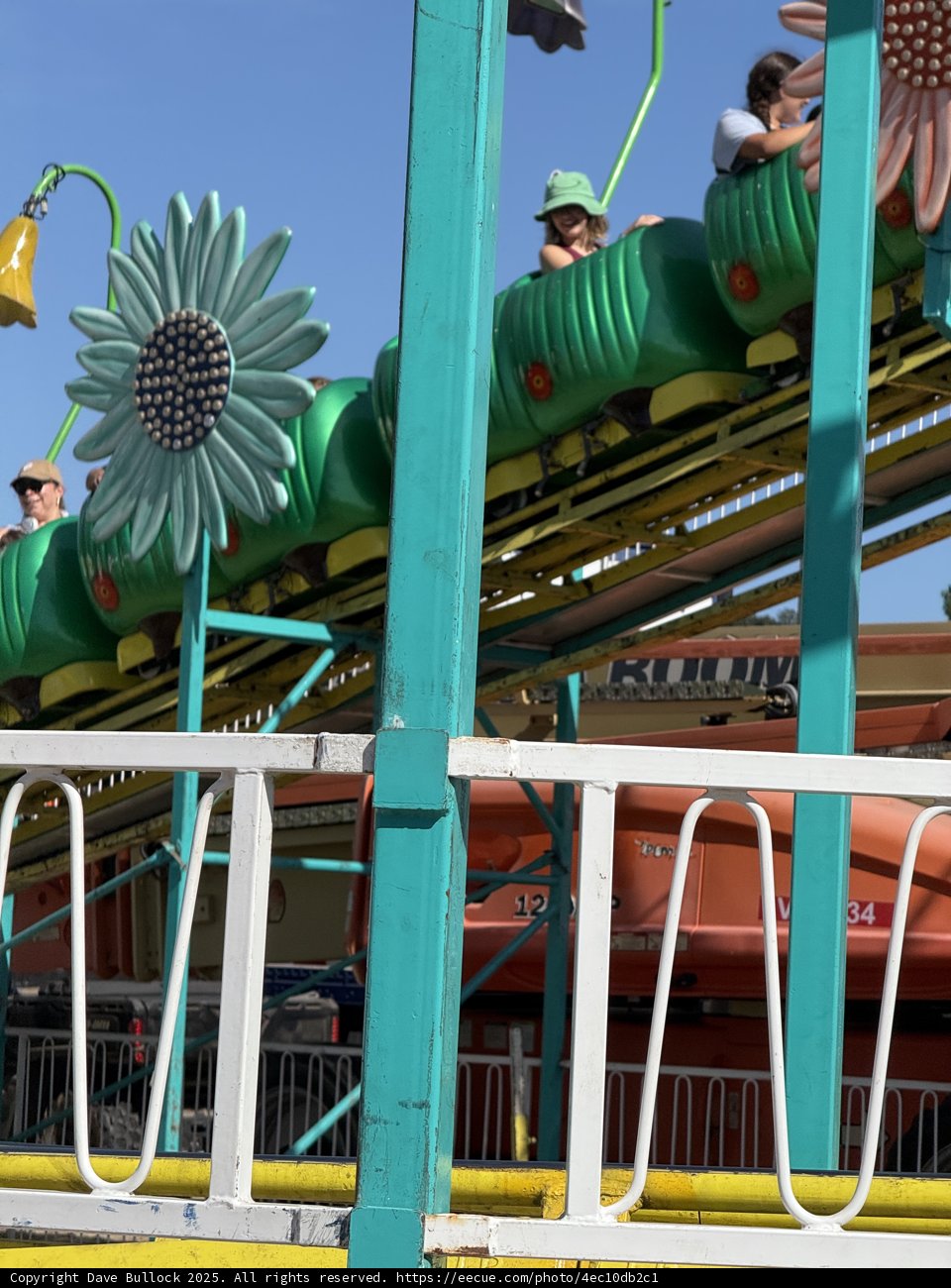 Thrills and Blossoms