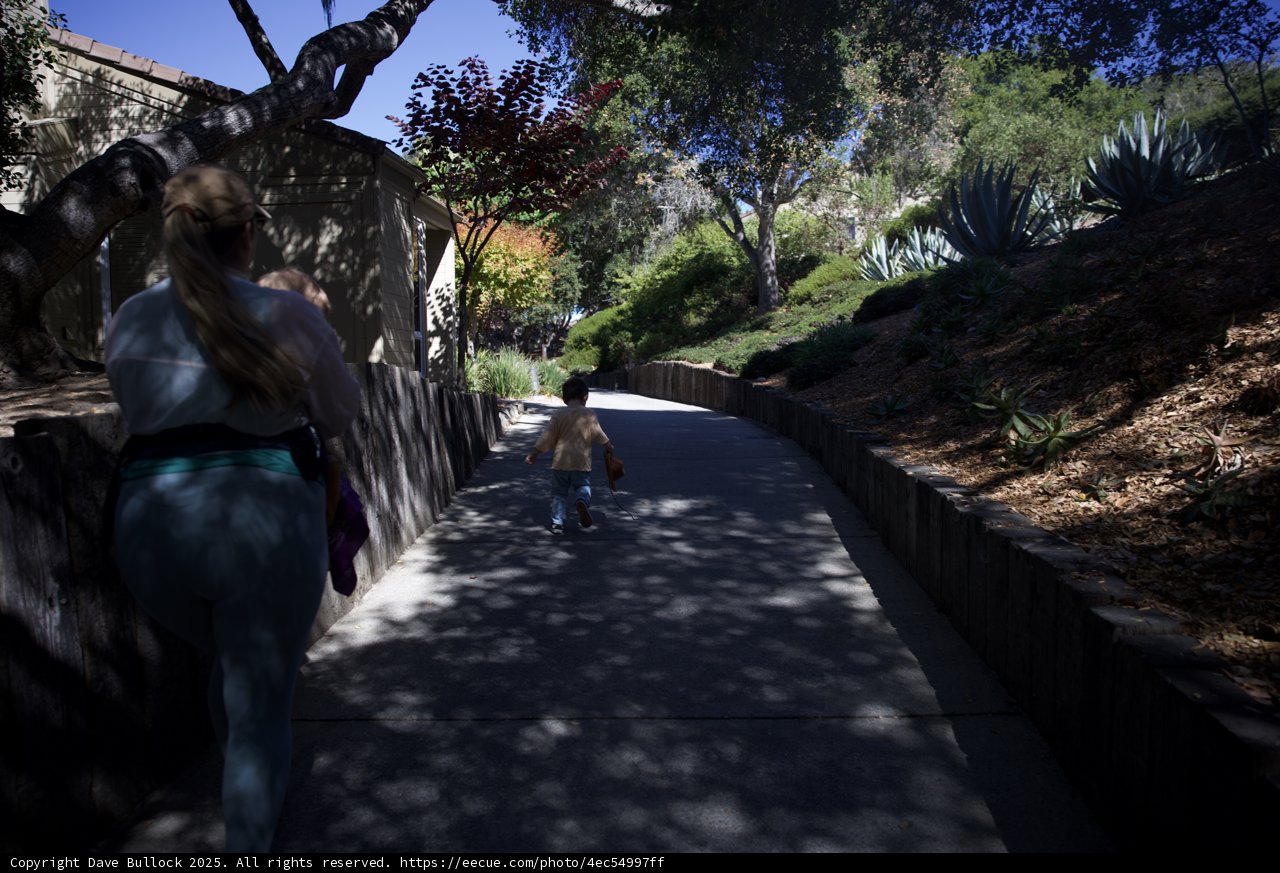 A Stroll Through Serenity