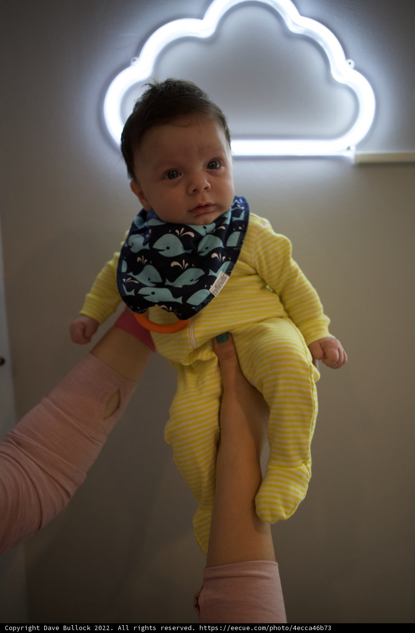 Neon Nights: Baby Chronicles