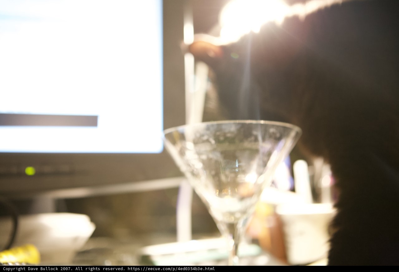Martini Cat
