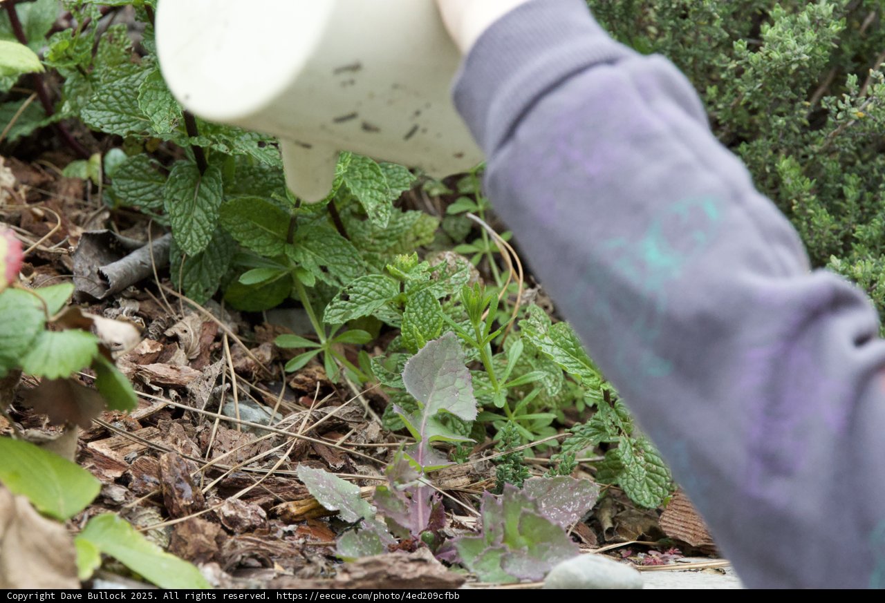 Nourishing Nature