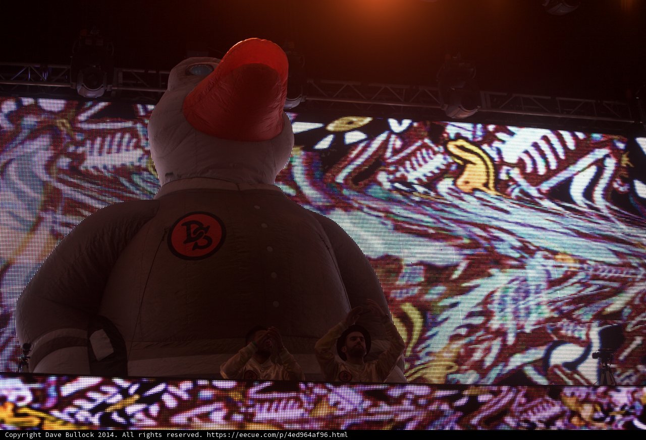 The Majestic Bird at Coachella