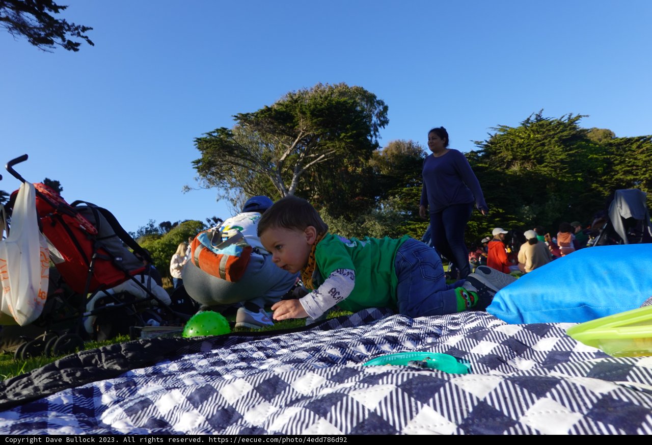 Picnic Day Delight