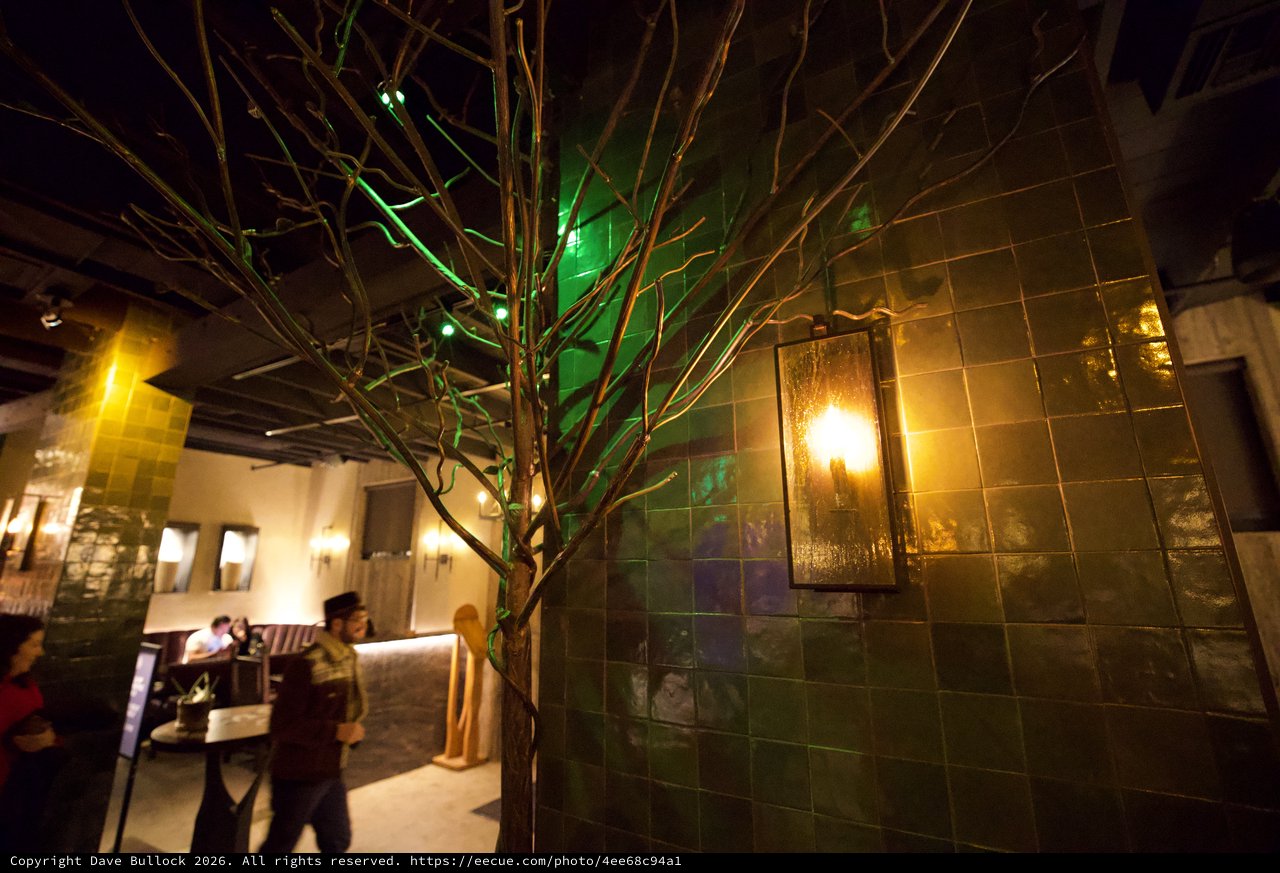 Artistic Branch Installation in Intimate Restaurant Setting