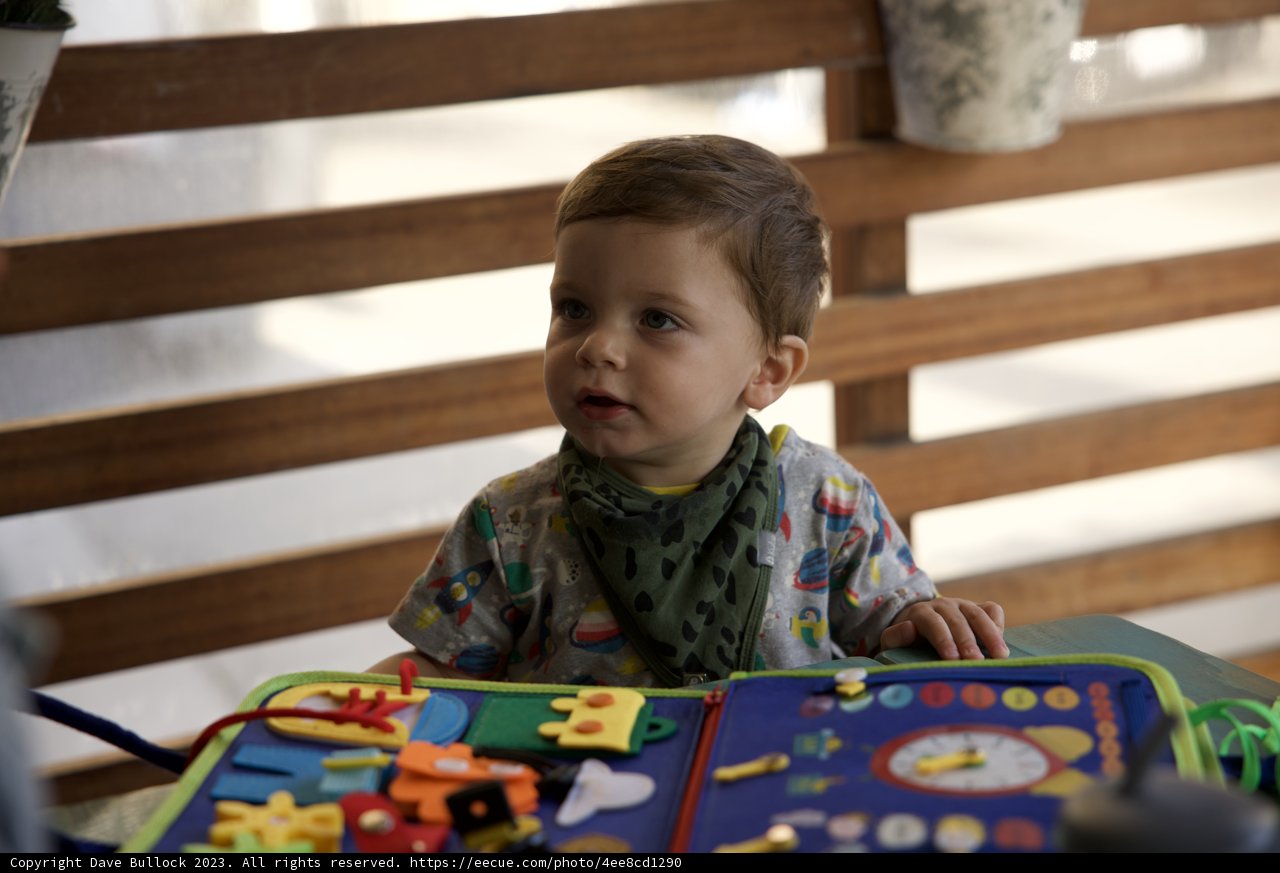 A Puzzling Birthday for Wesley