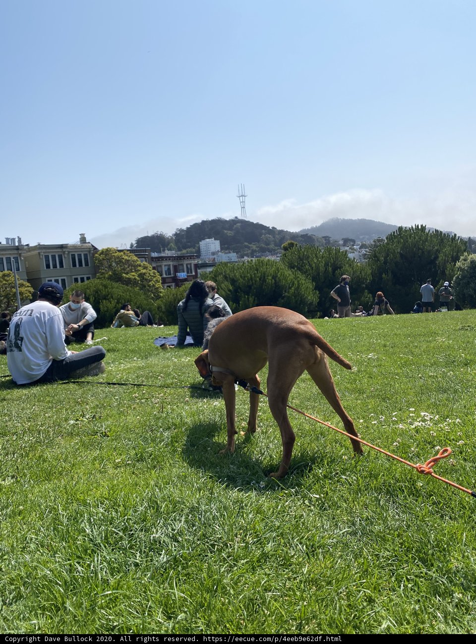 Playtime in the Park