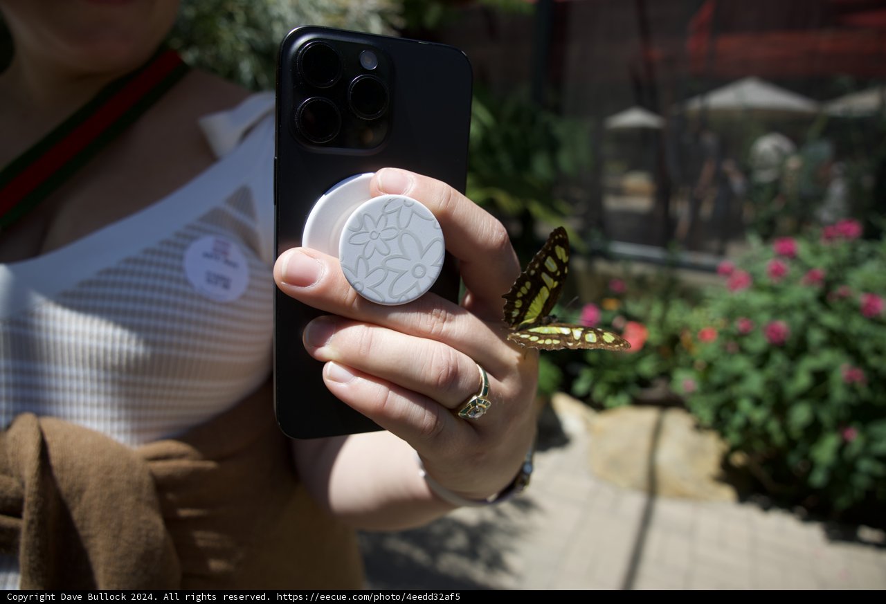Capturing Moments and Magic