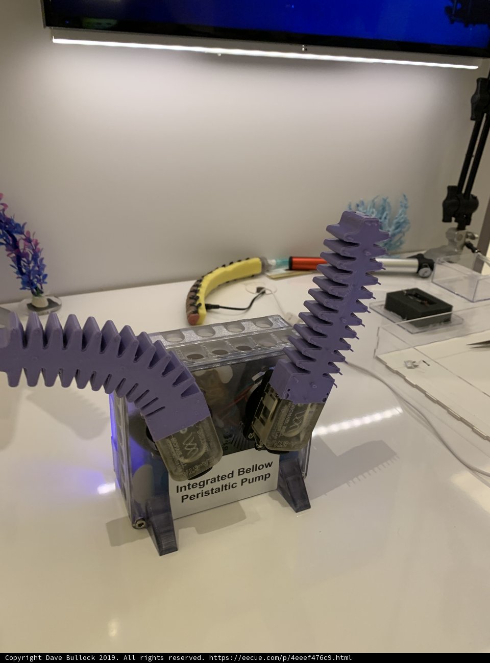 Robotic Wonder