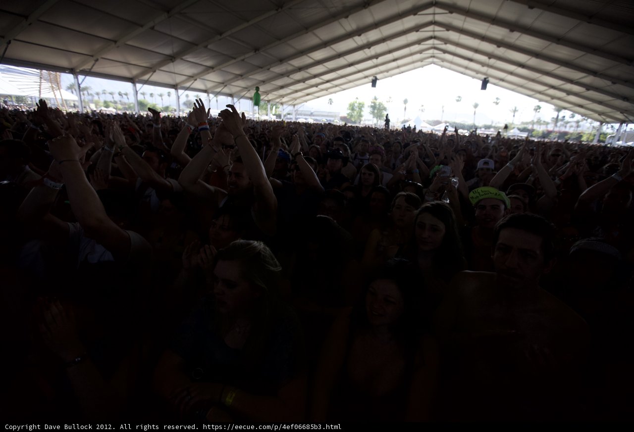 Coachella Crowd Euphoria