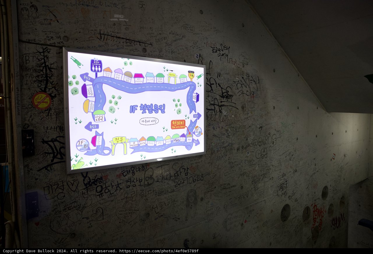 Graffiti Mapped: A Fusion of Art and Architecture