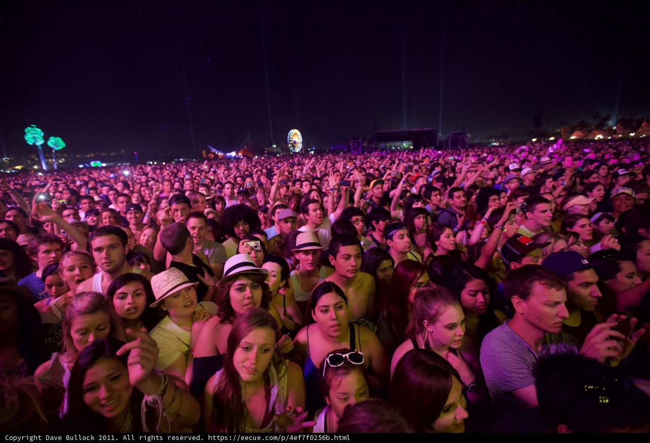 Music and Mayhem under the Starry Sky