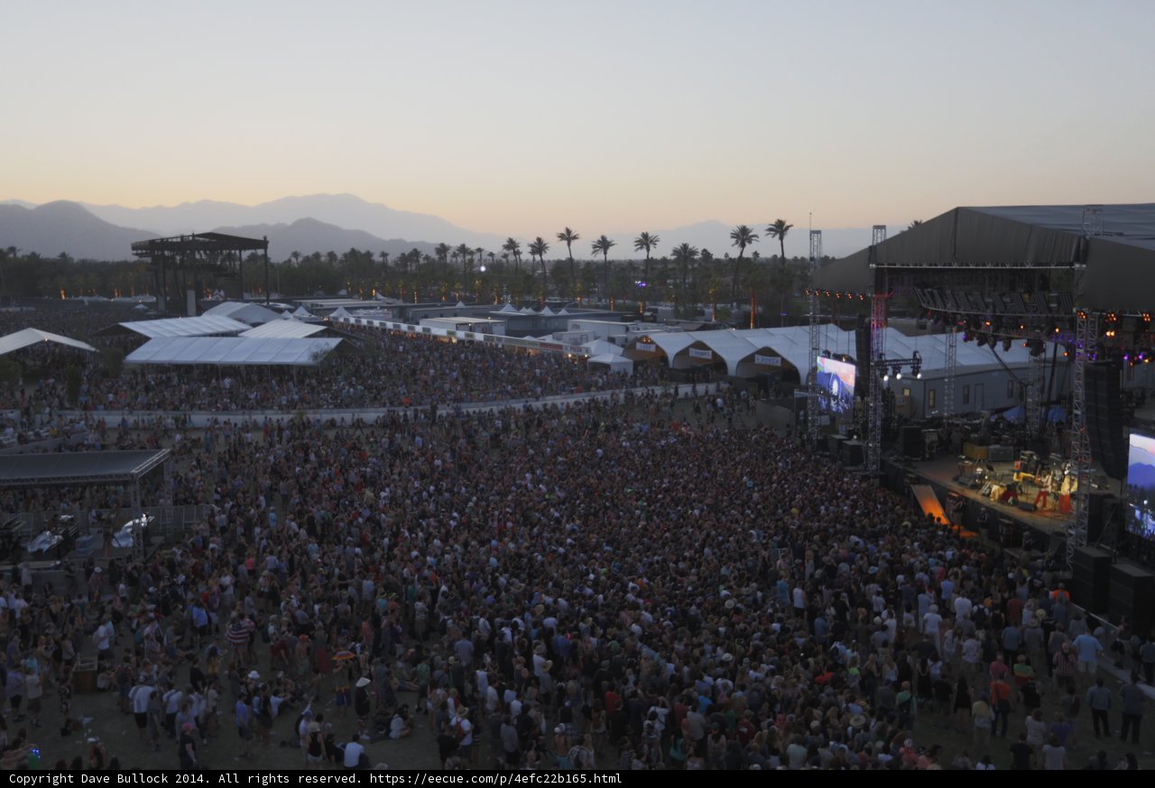 Music Festival Madness
