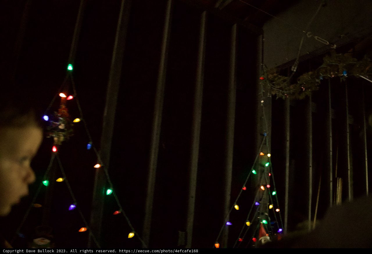Innocent Gaze at a Caged Christmas