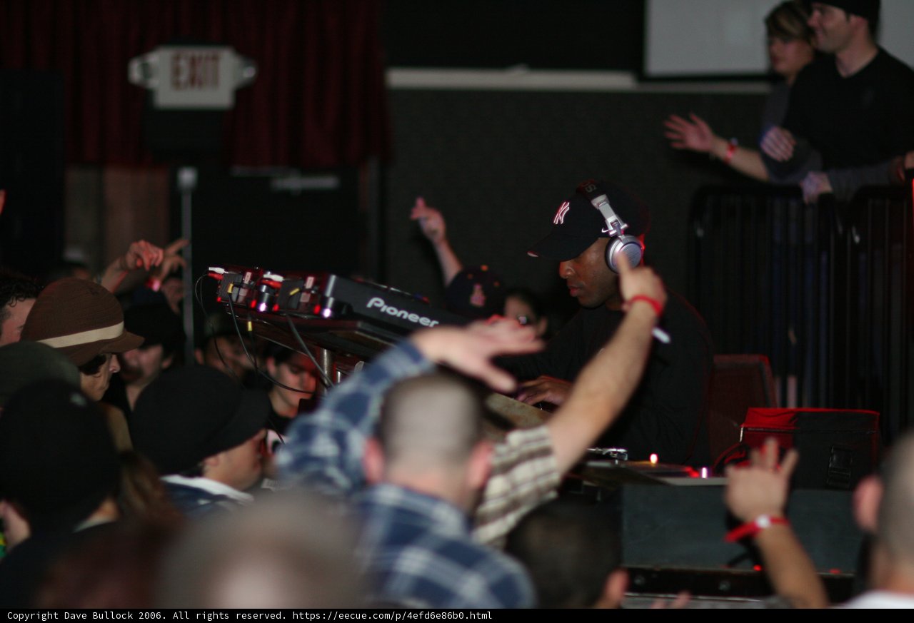 Man in Black Shirt Rocks Out at Concert