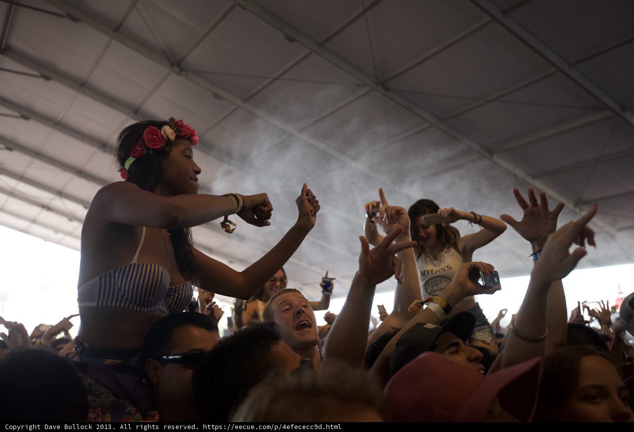 The Joyful Crowd