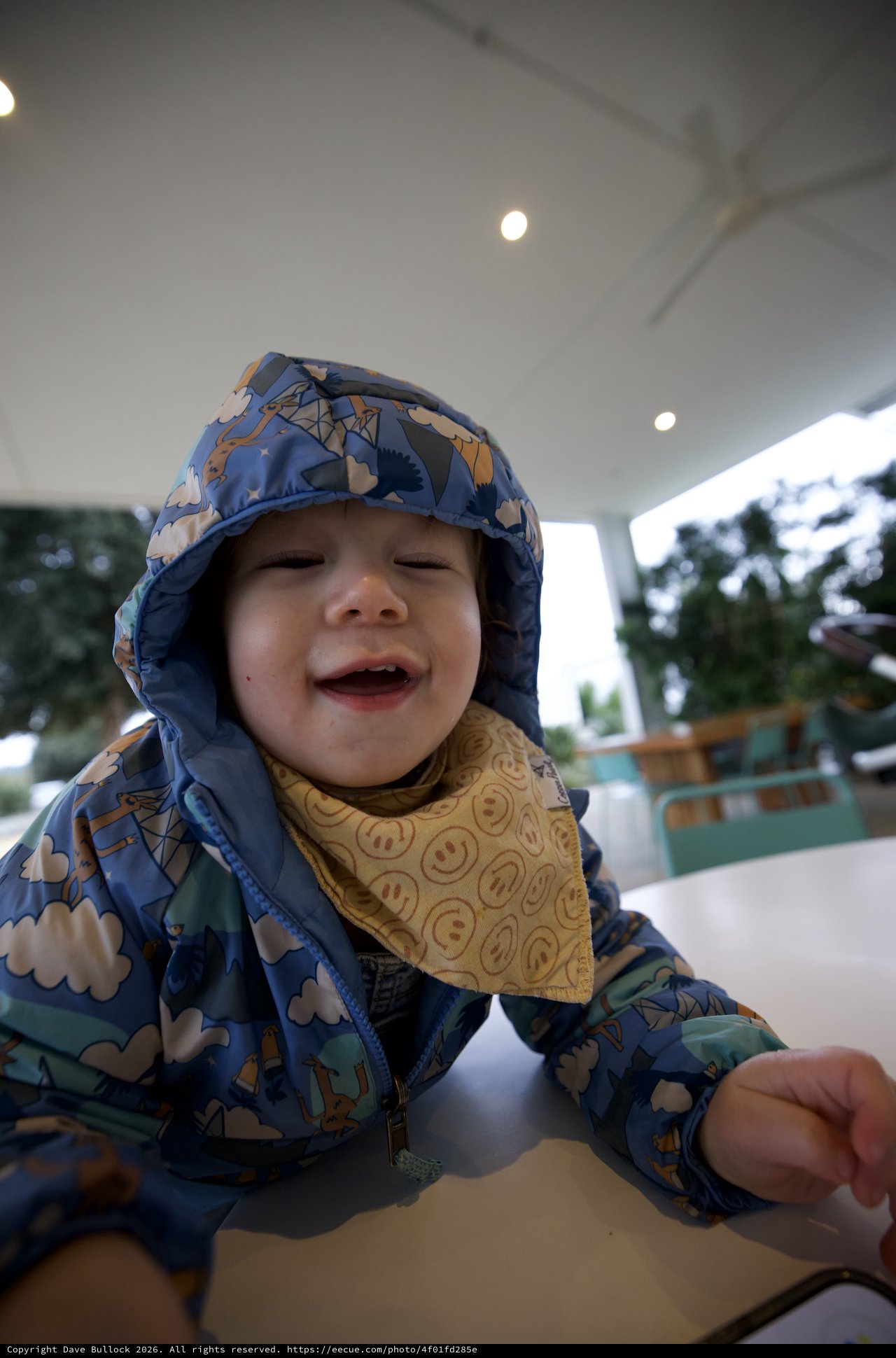 Joyful Toddler in Dinosaur Raincoat at Outdoor Restaurant