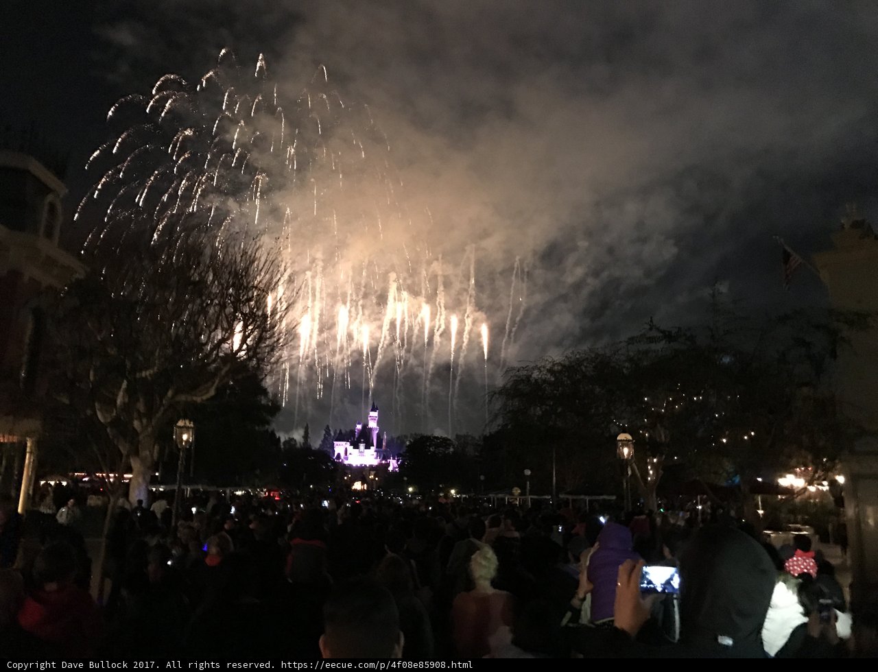 Disneyland Fireworks Spectacle